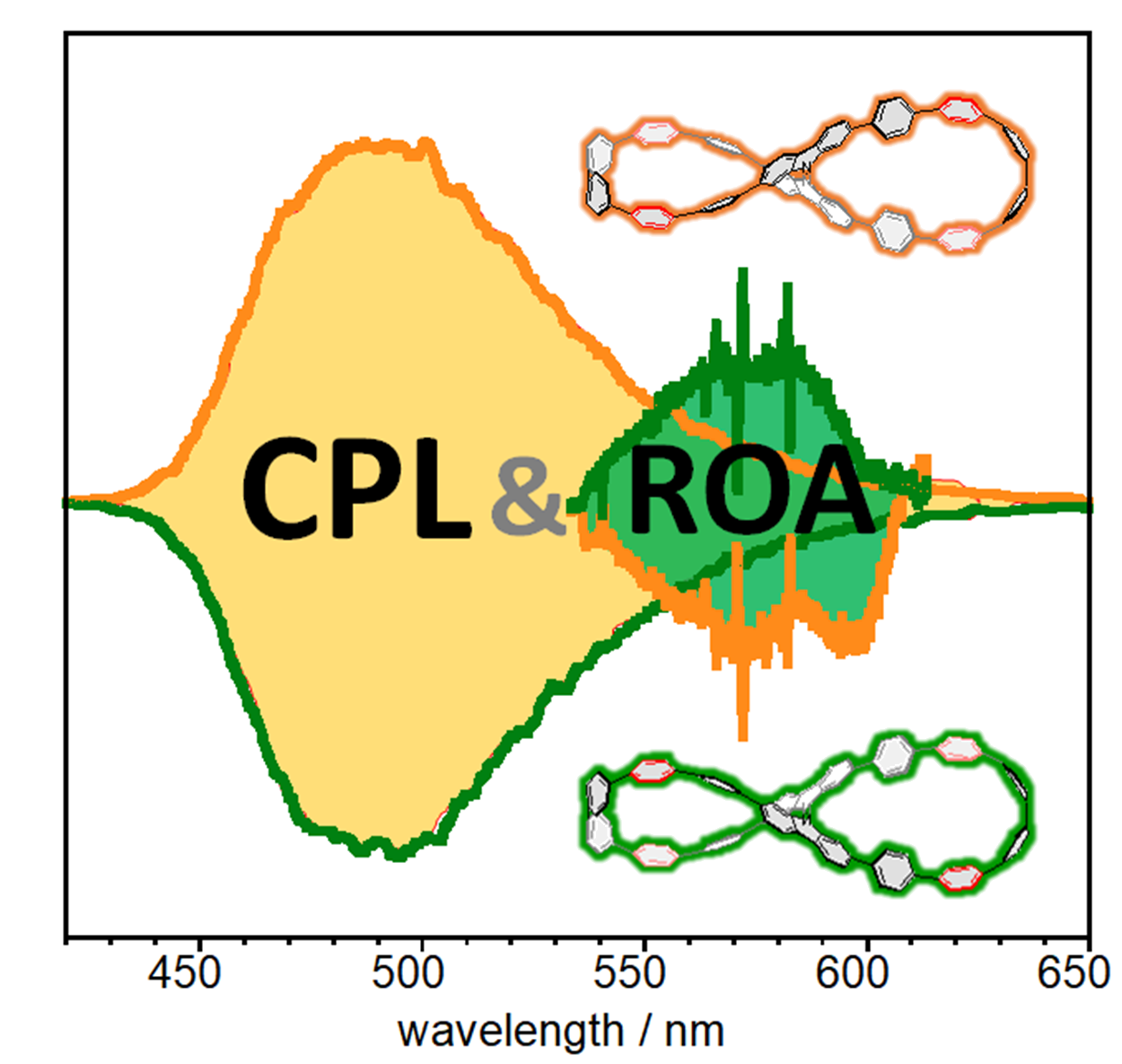TOC image for Simultaneous Detection of Circularly Polarized Luminescence and Raman Optical Activity in an Organic Molecular Lemniscate