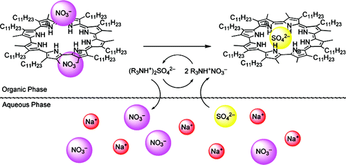 TOC image for Octamethyl-octaundecylcyclo[8]pyrrole: A Promising Sulfate Anion Extractant