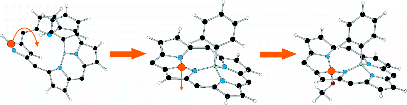 TOC image for Single-Boron Complexes of N-Confused and N-Fused Porphyrins
