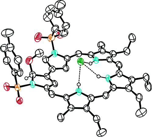 TOC image for Inverted Sapphyrin: A New Family of Doubly N-Confused Expanded Porphyrins